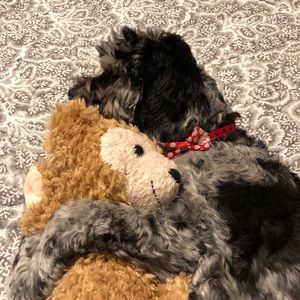 Meet your Posher, Katja